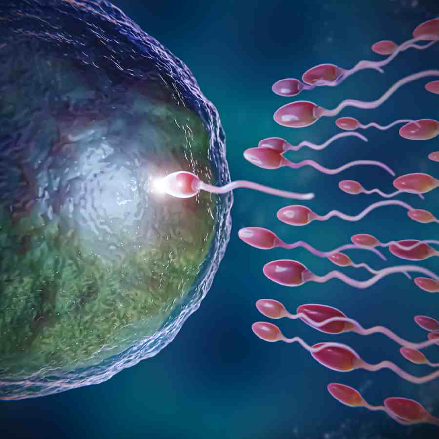 Scientists are just a few years from creating viable lab-grown sperm and egg cells