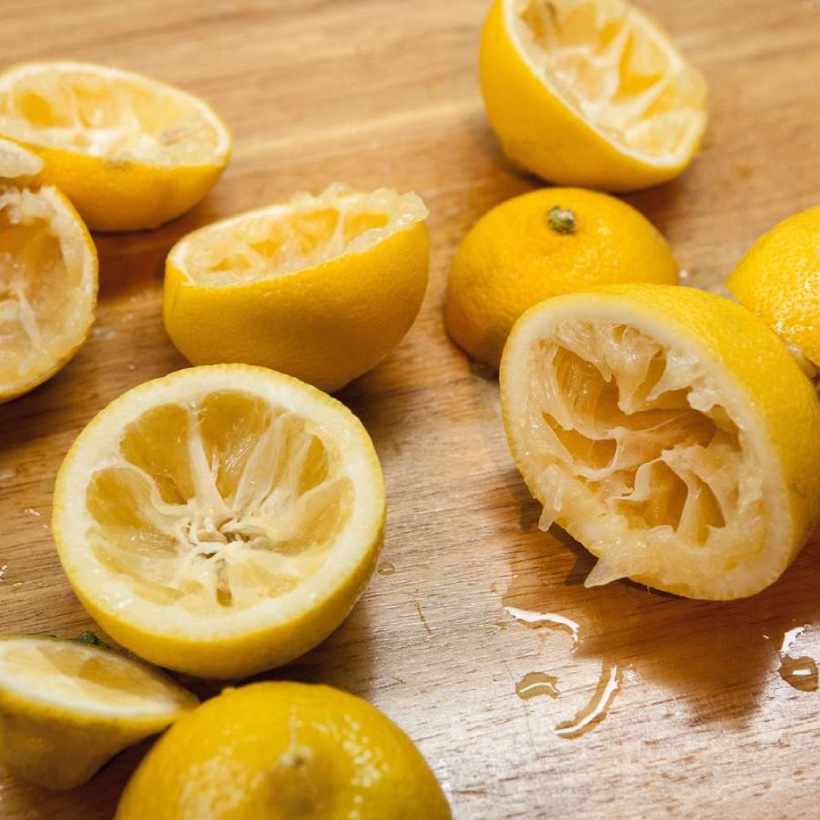 How to use lemon peel in your home garden for better to improve soil dgtl
