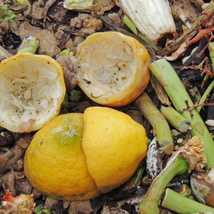 বাগানের মাটির জন্য লেবুর খোসা উপকারী।