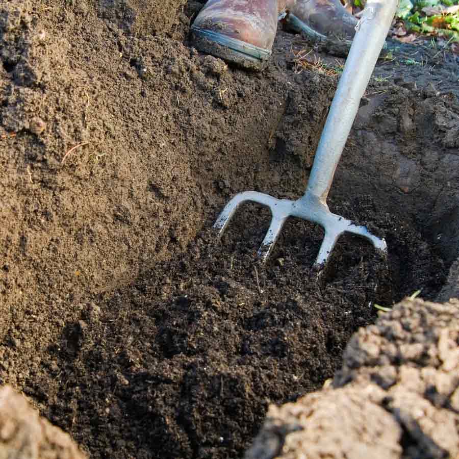 Scientists found 850,000 years old evidence of bizarre early human culture dgtl