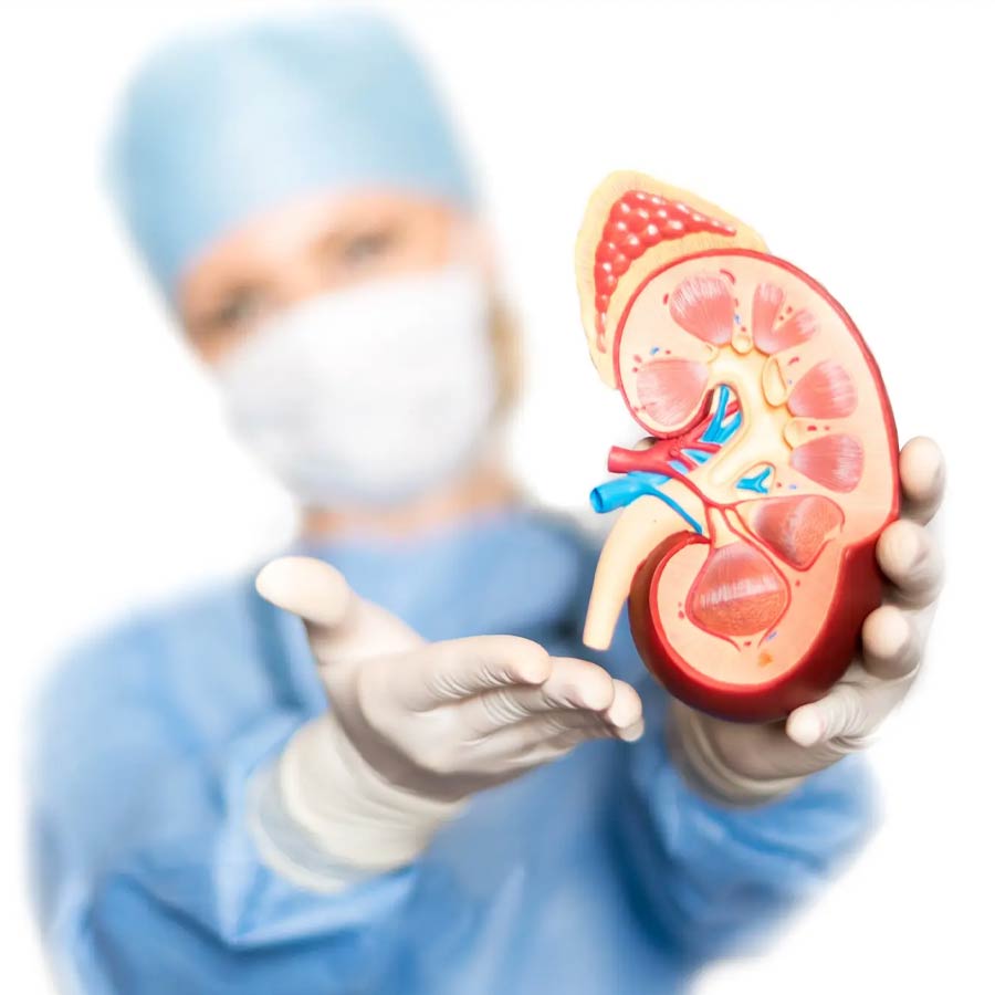 Following trending diet plan can do more harm than good