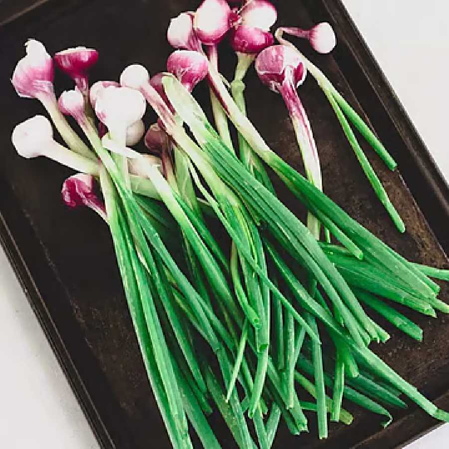 পেঁয়াজকলিতে সালফার কম বলে ঝাঁঝ কম।