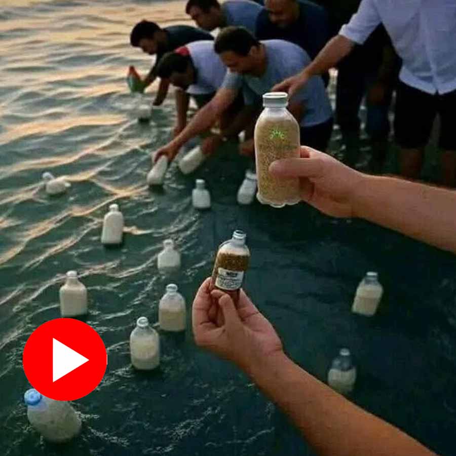 Video of Egyptians throwing bottles into sea with rice, flour and baby food for Gaza goes viral dgtl