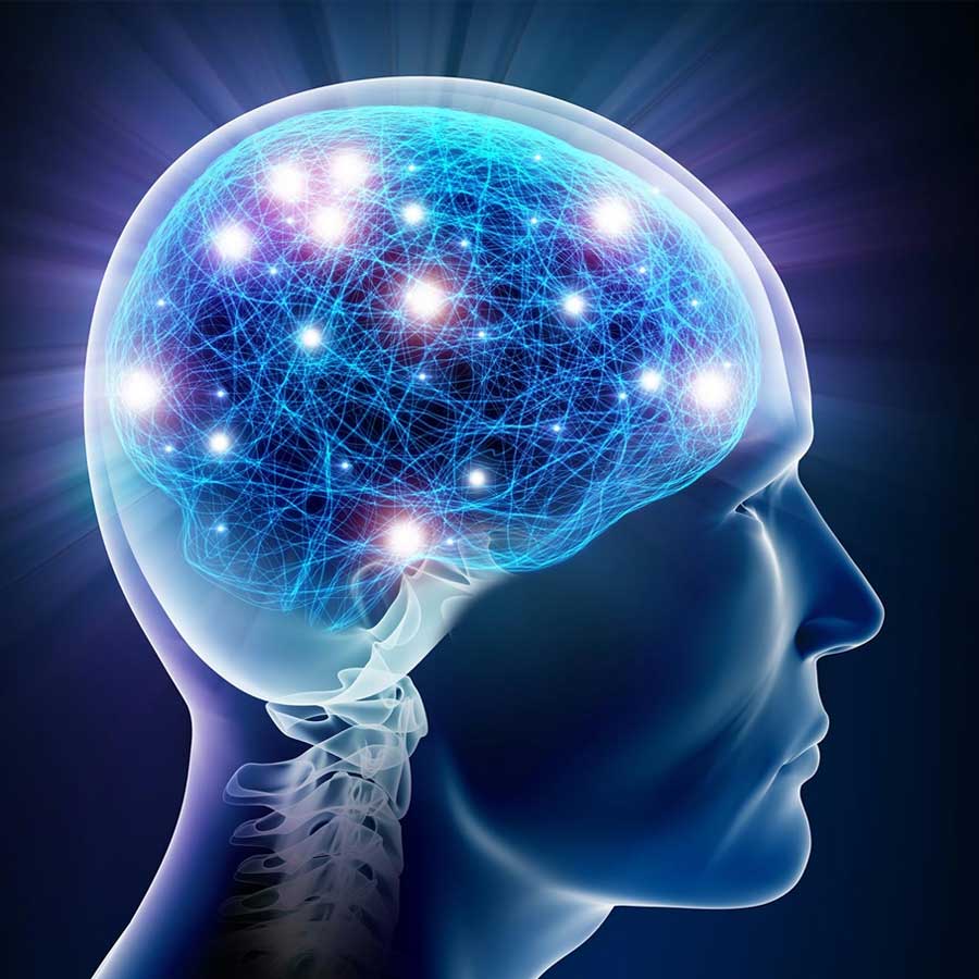 New neuroscience study shows that human brain emits faint light signal through skull dgtl