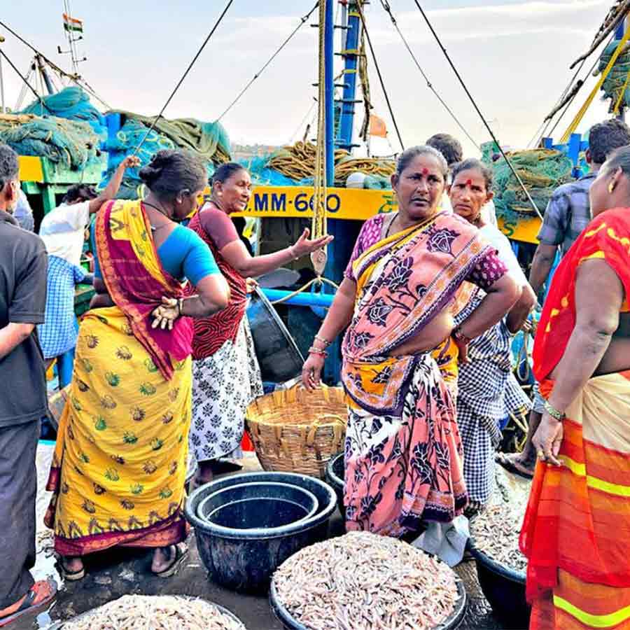 Fish market in Andhra Pradesh is occupied by women, in Bengal women are marginalized