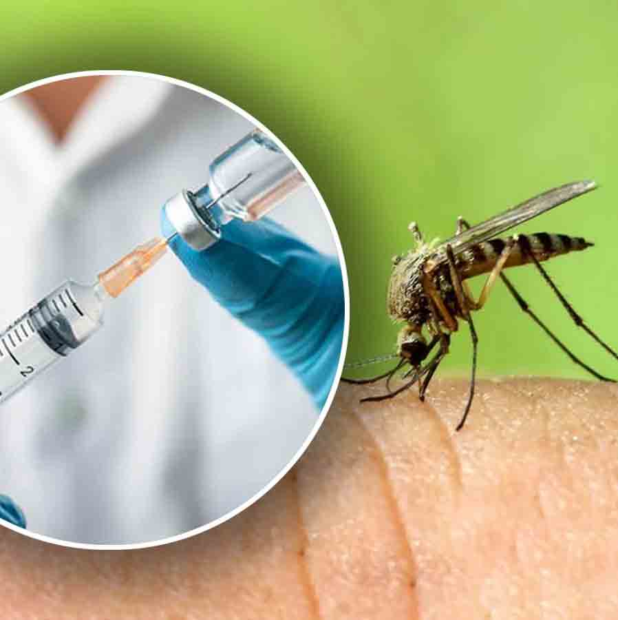 Experimental use of foreign drugs to eradicate malaria germs from the body will begin