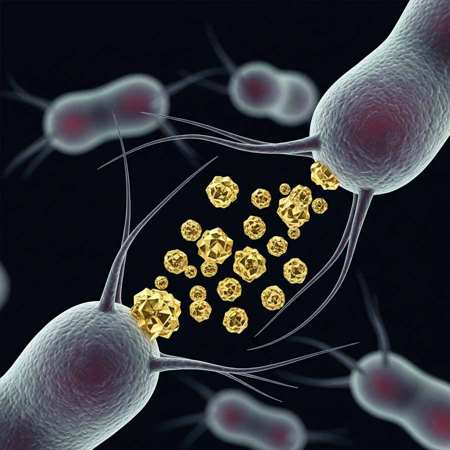 Metal-gobbling Bacteria