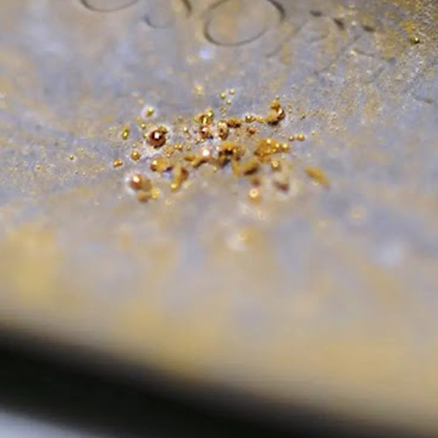 Metal-gobbling Bacteria