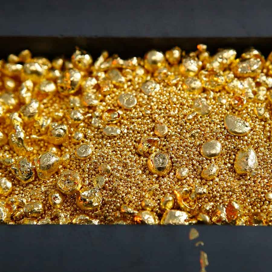 Metal-gobbling Bacteria