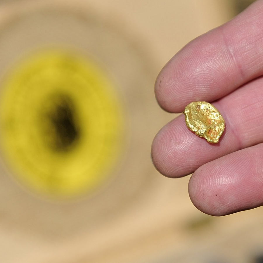 Metal-gobbling Bacteria