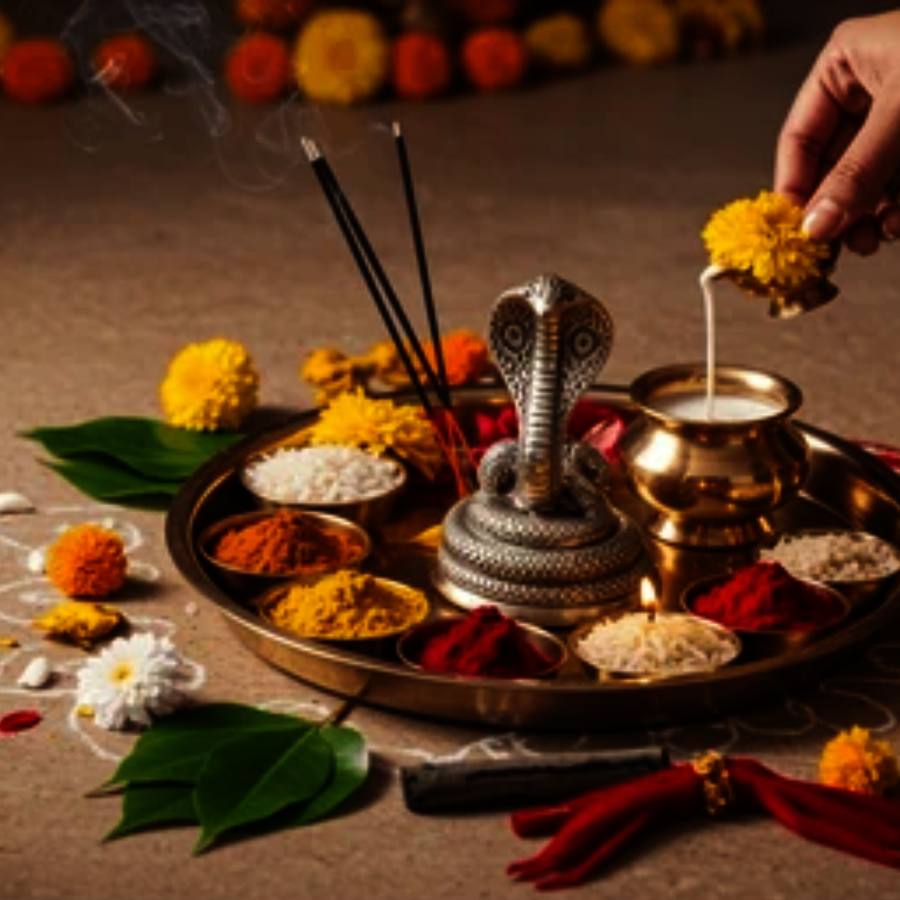 মঙ্গলবার নাগপঞ্চমী, ব্রত পালনের শুভ সময় কখন? নাগদেবের আরাধনায় প্রয়োজনীয় কী কী? ফলাফল কী হয়?