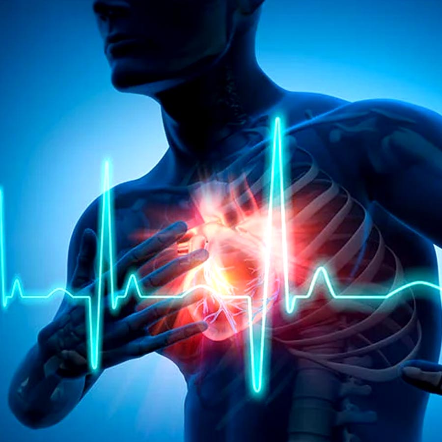 Arjun Chaal benefits to reduce heart attack risk dgtl
