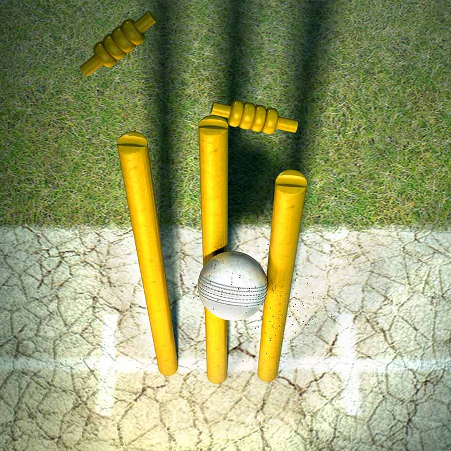 cricket