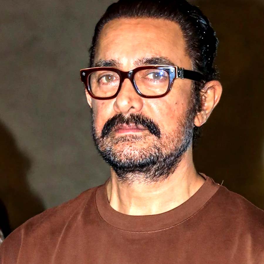 মুসলিমদের  হয়ে কণ্ঠ ছাড়লেন আমির।