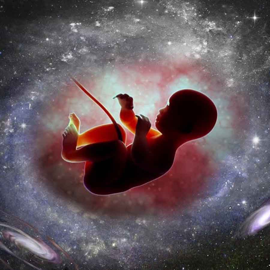 What will happen if a baby is born in space, scientist explains as agencies plan manned missions to Mars dgtl