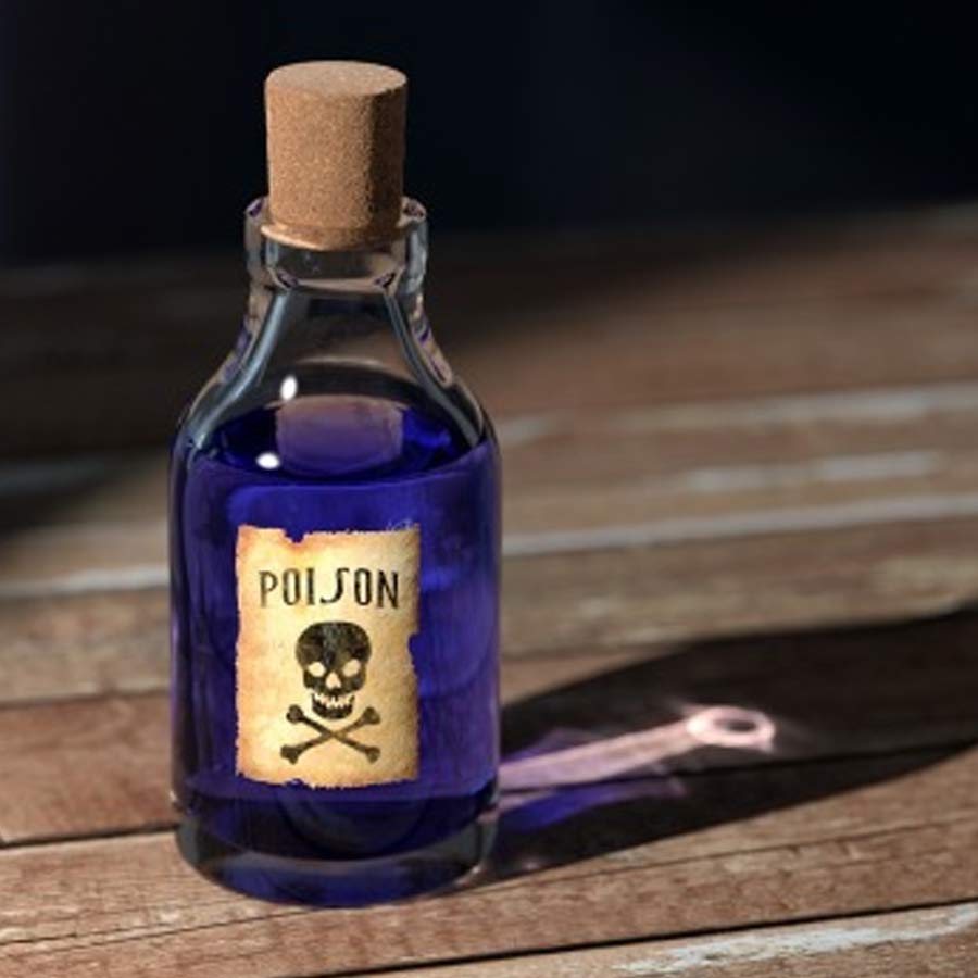 Heaven’s gate cult