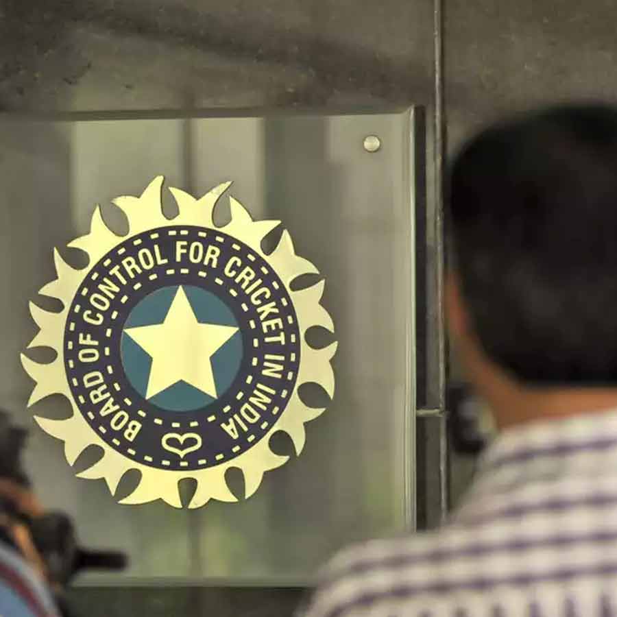 picture of cricket
