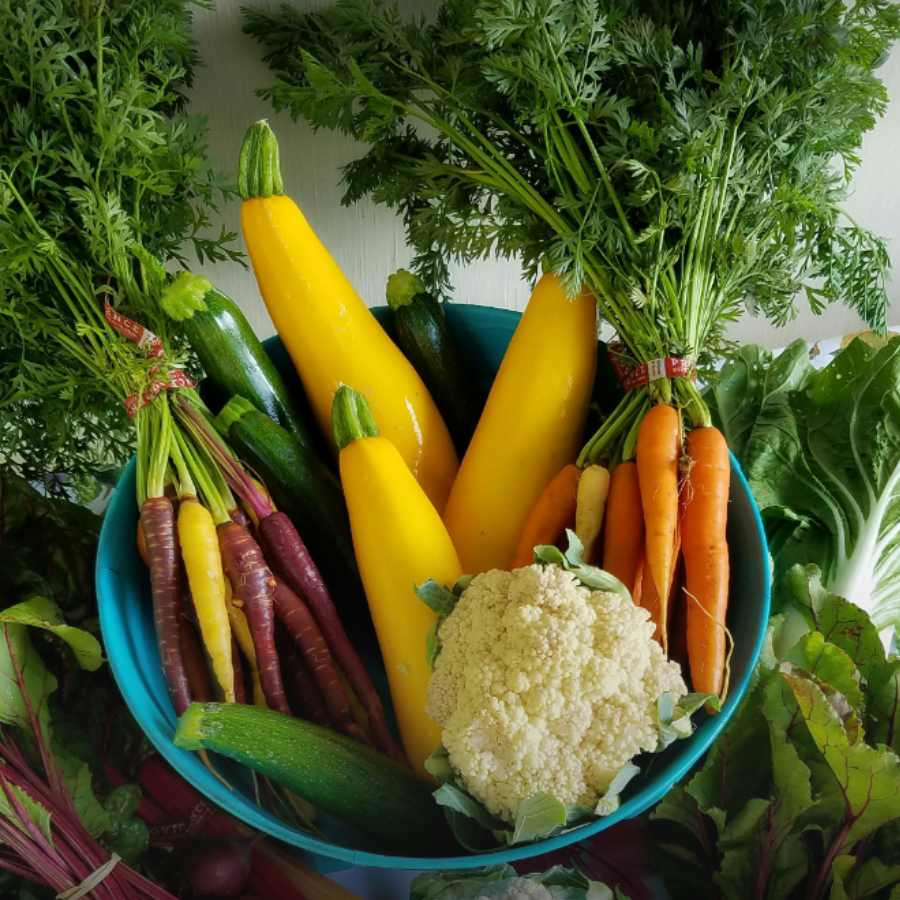 5 very common vegetble that help you loose weight dgtl