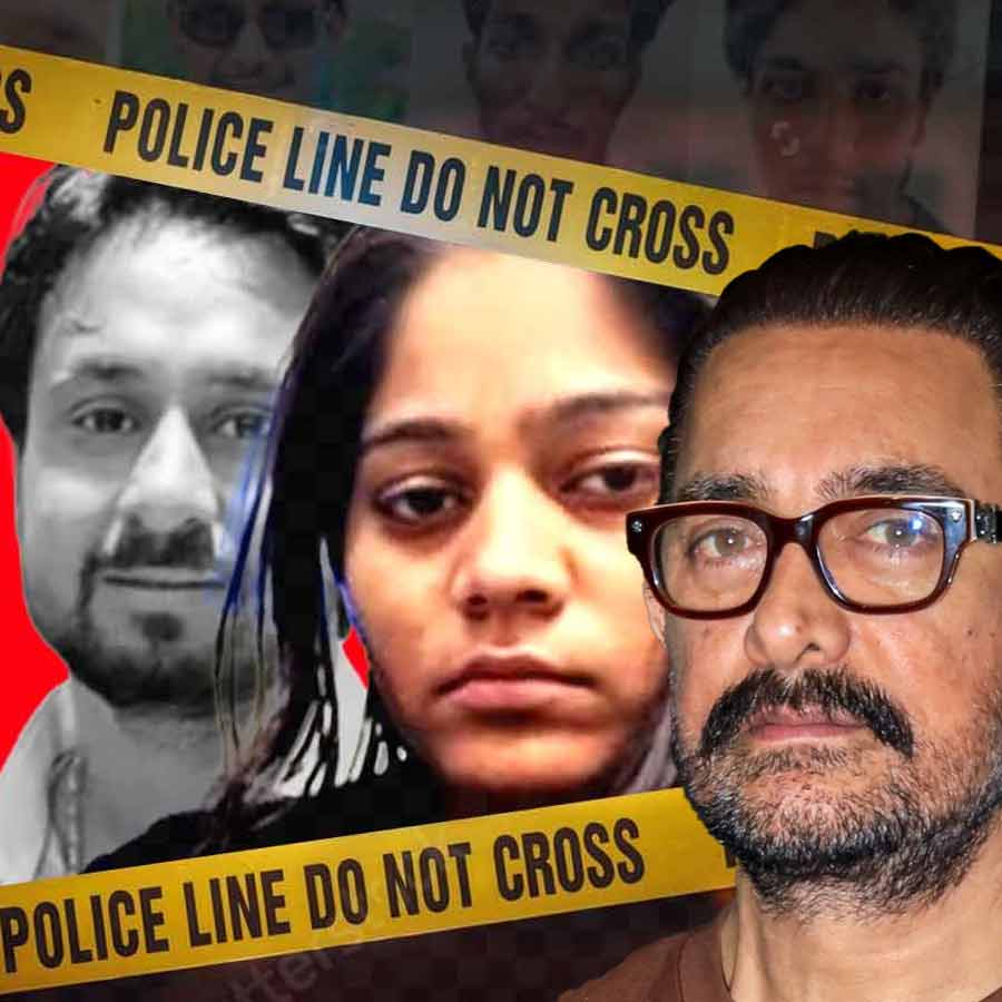 Not Aamir Khan, But Another Filmmaker Is Making A Movie On Raja Raghuvanshi's Murder case dgtl