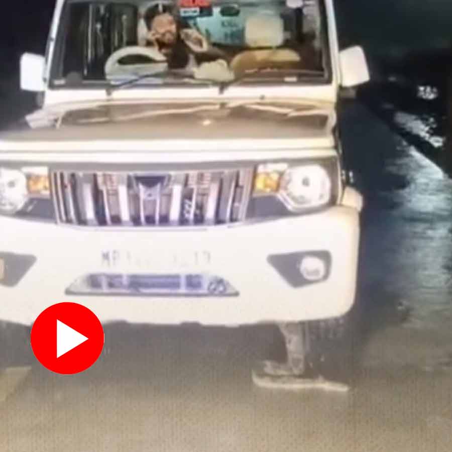 Video of giant python crawling out from police jeep in Madhya Pradesh goes viral dgtl