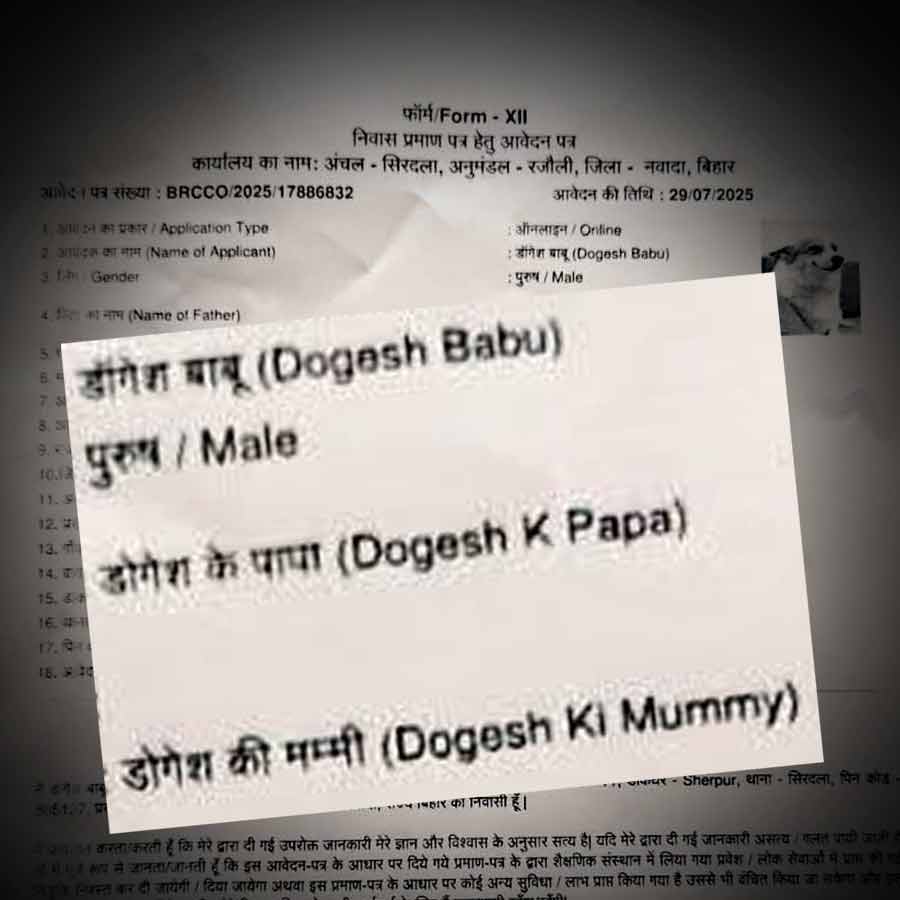 An resident application was filed in the name of Dogesh Babu