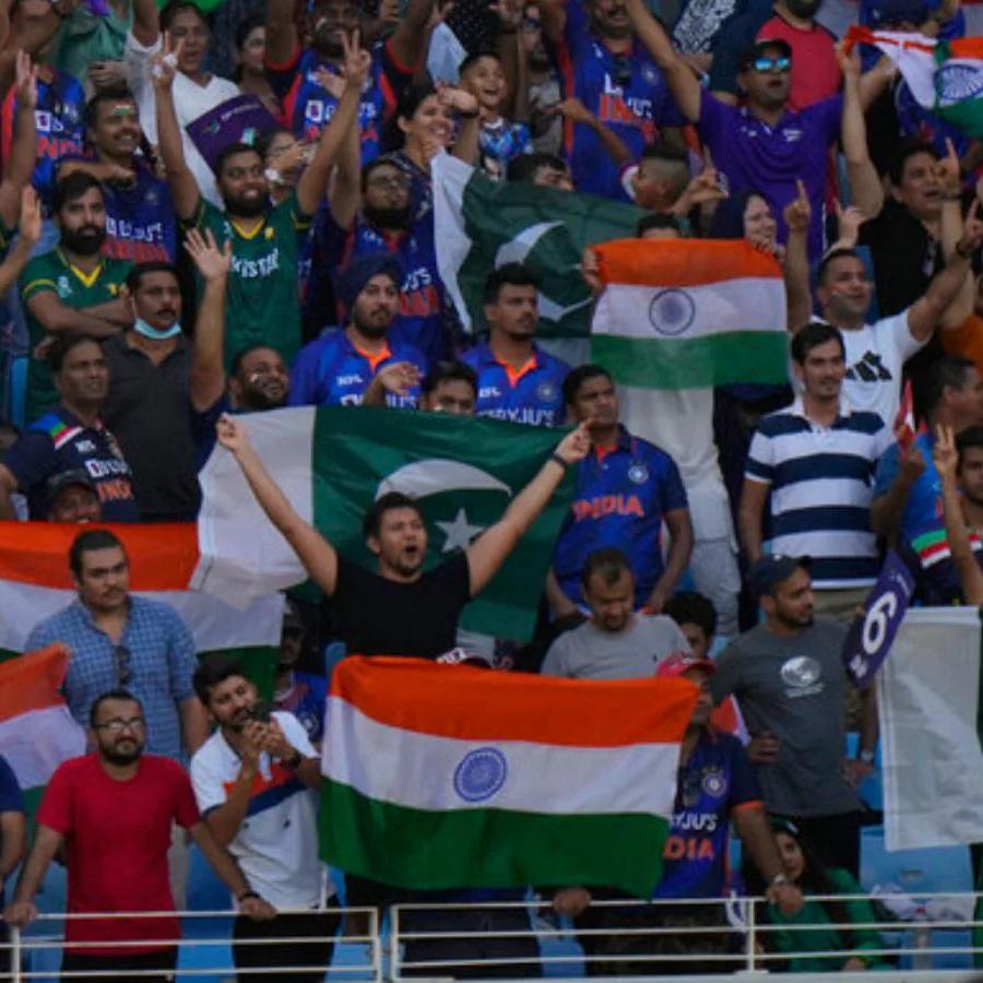 picture of cricket