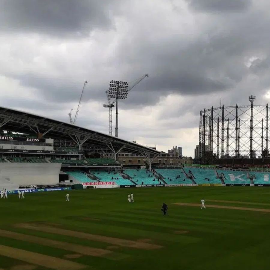 picture of cricket