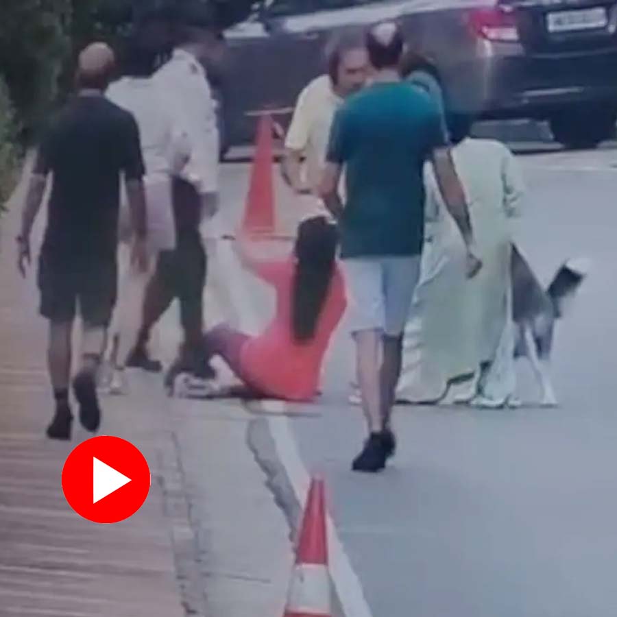 Husky dog  suddenly attacked a woman