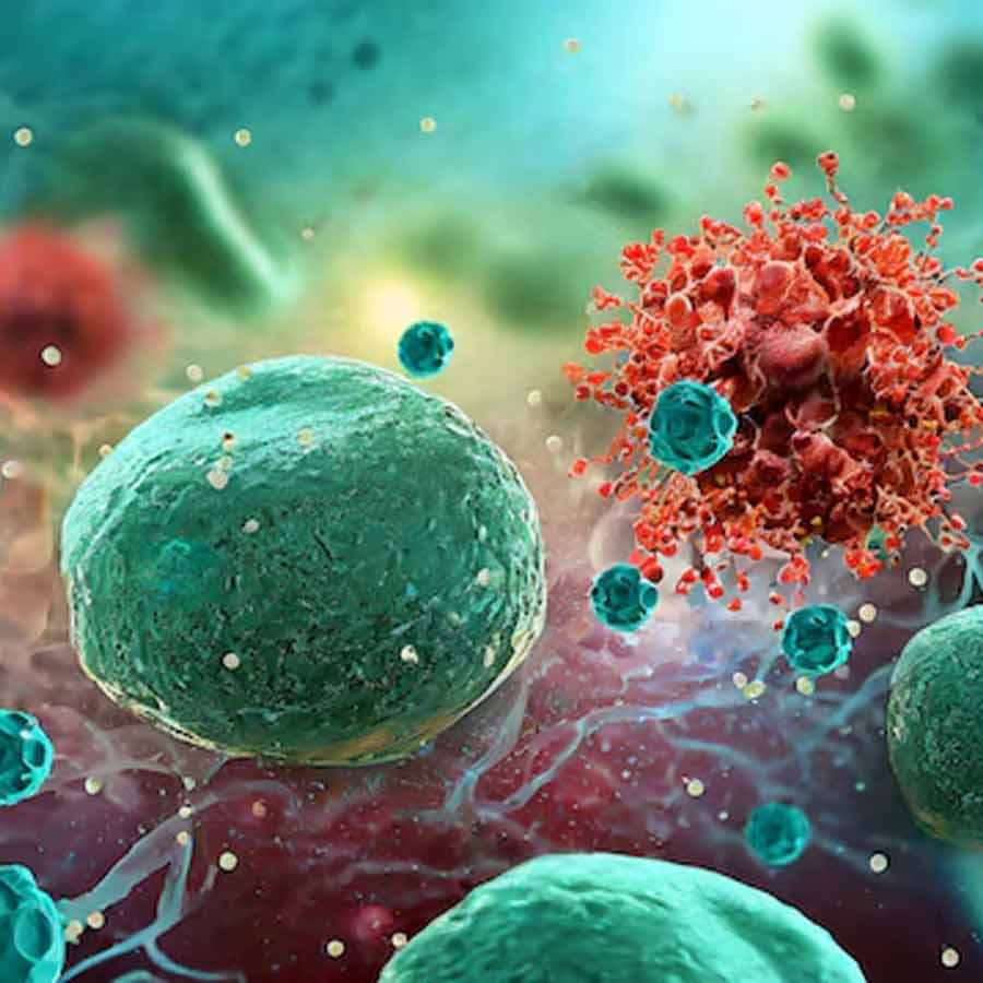New study finds common viruses may wake dormant breast cancer cells again dgtl