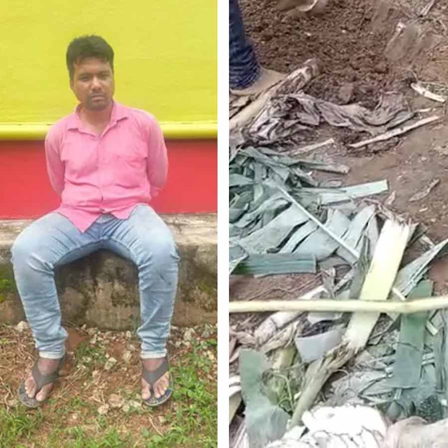 Odisha man allegedly killed wife, her mother and tried to eliminate evidence by planting banana trees over the bodies buried in garden dgtl