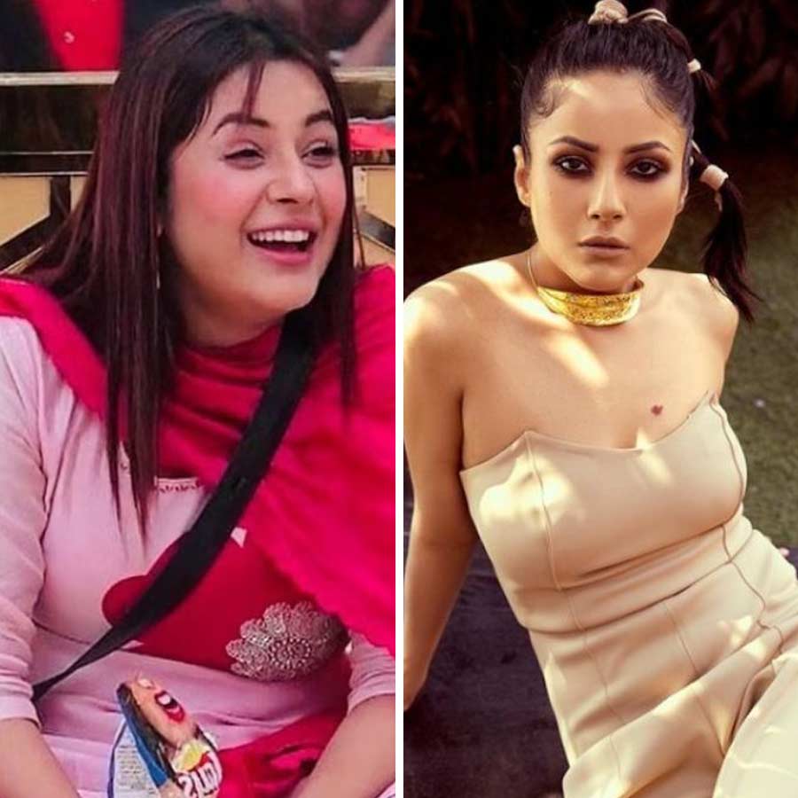 Shehnaaz Gill used to have roti with desi ghee and lost 12 kgs without workout dgtl