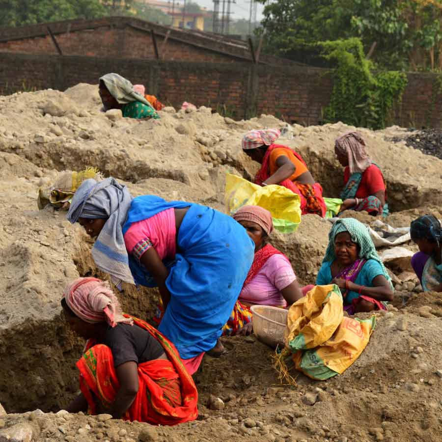 Gujarat minister's son held in second case of MGNREGA 'scam' dgtl