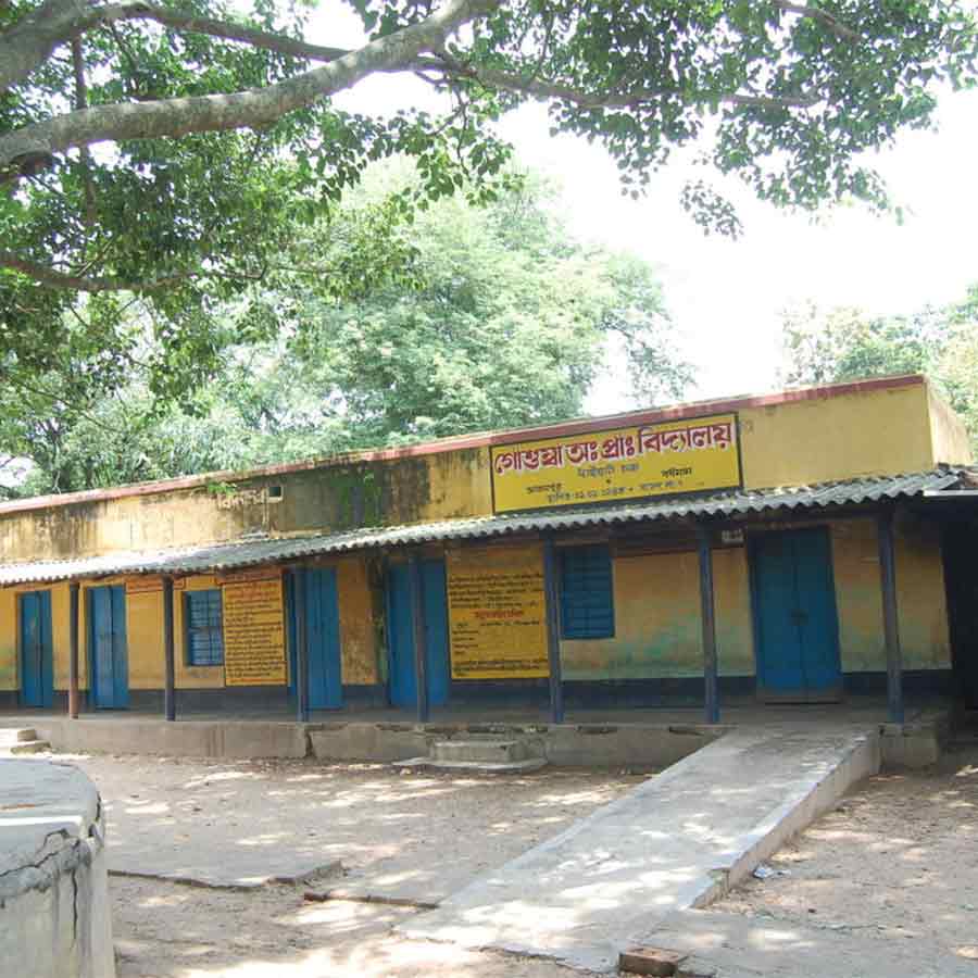 There should be extensive tree planting in schools