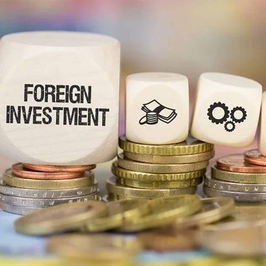 The central government has started the process of approving foreign direct investment (FDI) proposals from neighboring countries