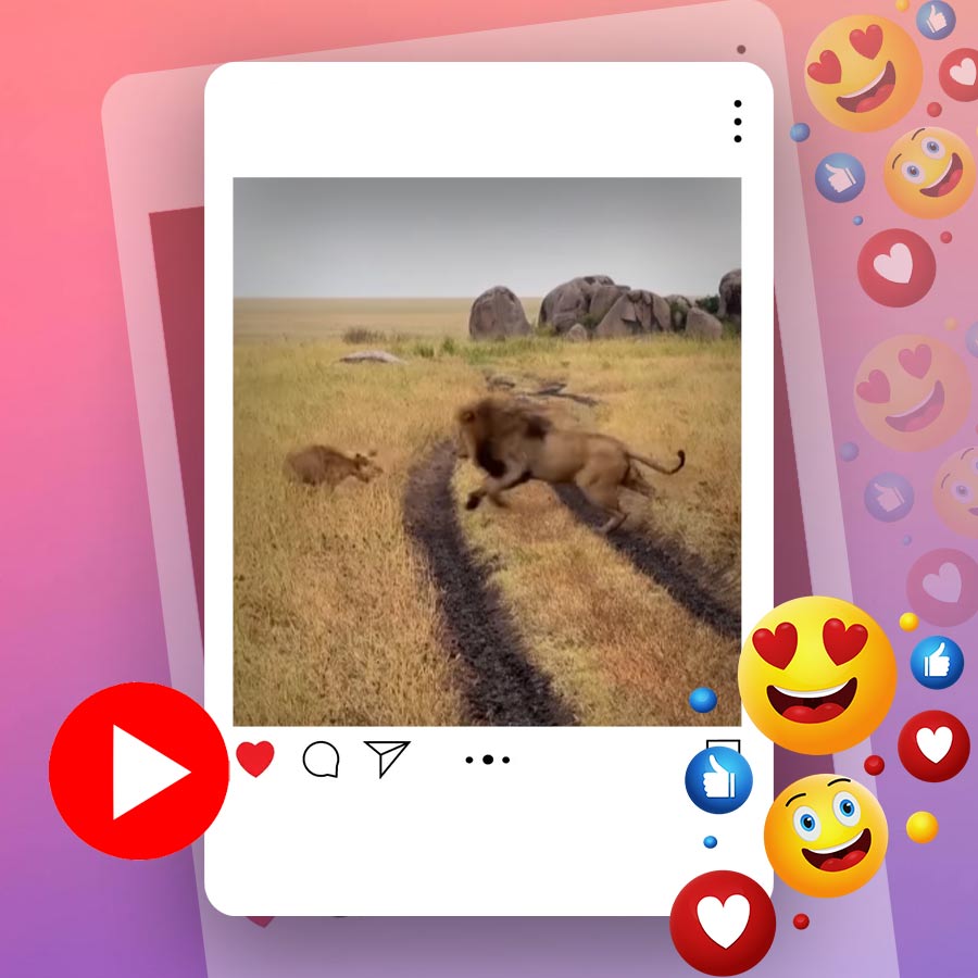 Video of lion scaring its cub in Tanzania’s jungle goes viral dgtl