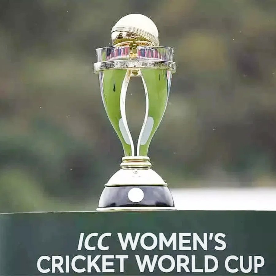 cricket