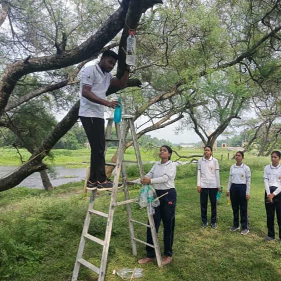 Nadia college students provide water and food for birds using discarded plastic bottles dgtld