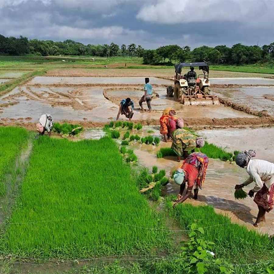 Under the influence of the farmers' movement, the MSP issue has increasingly become a subject of political conflict