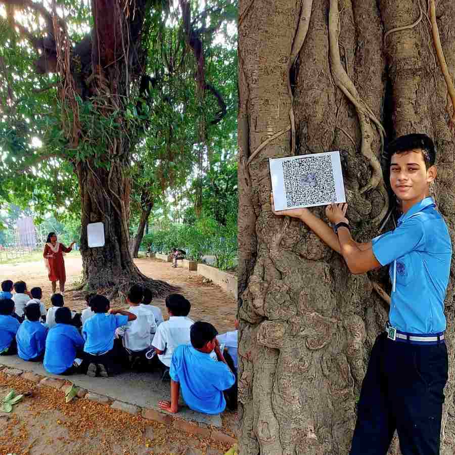 The Park Institution is conducting a special activity to help students identify trees through nature study dgtl