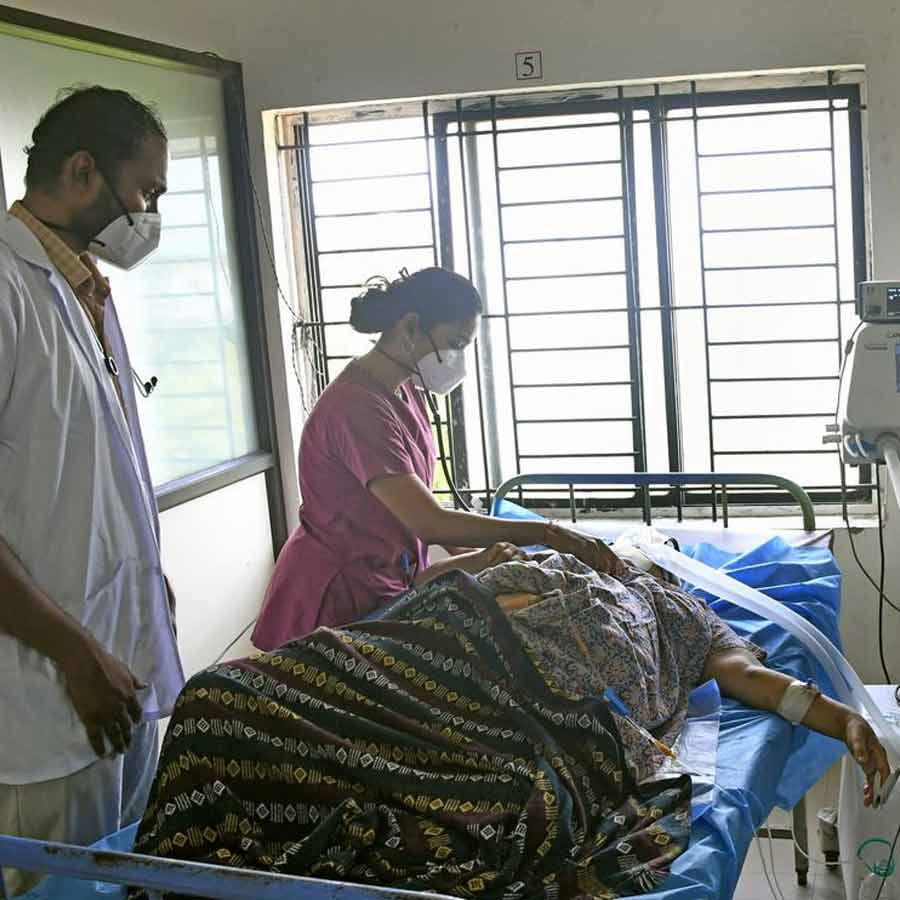 Several dead in Madhya Pradesh village after mysterious animal bites despite vaccination, suspected spread of Rabies virus dgtl