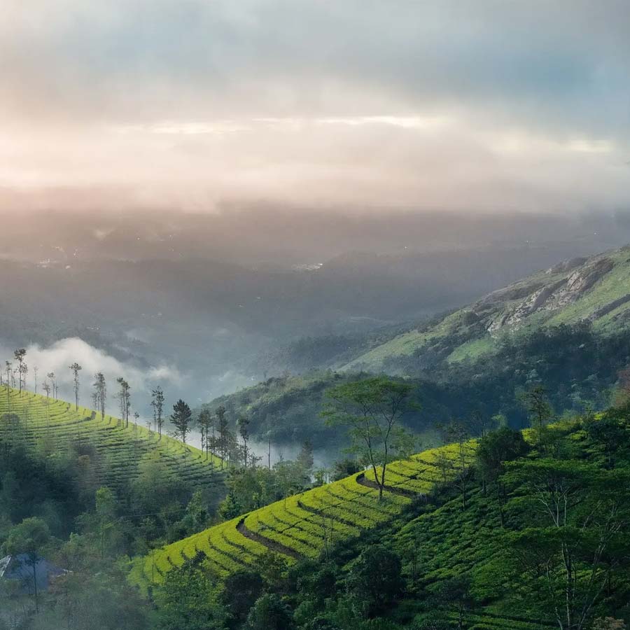মুন্নারও বর্ষায় ভীষণ সুন্দর হয়ে ওঠে।