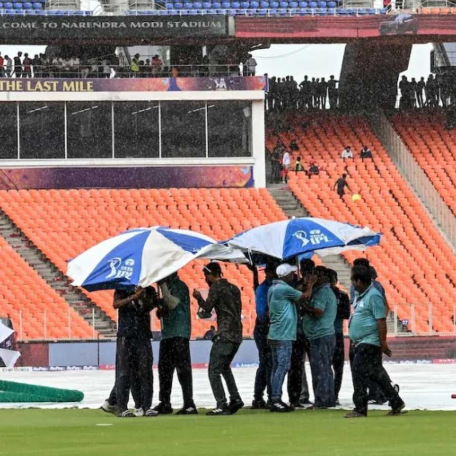 picture of cricket