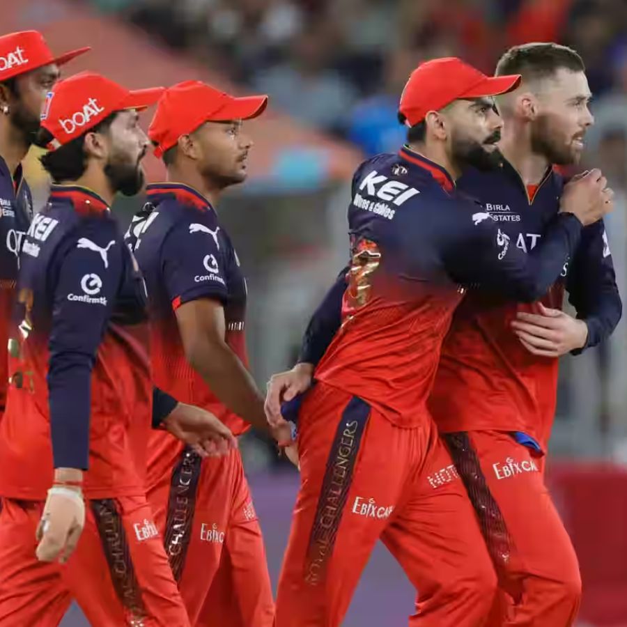 picture of cricket