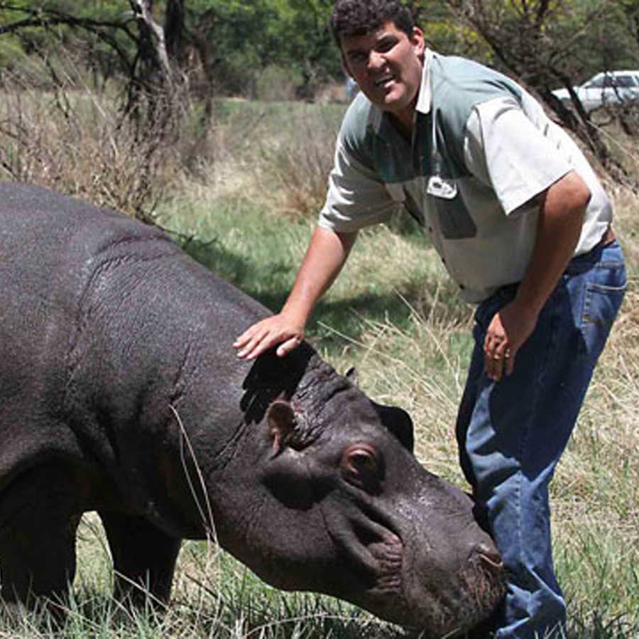  army major attacked by his pet hippo