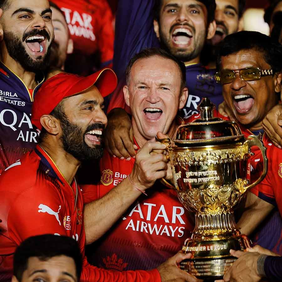 cricket