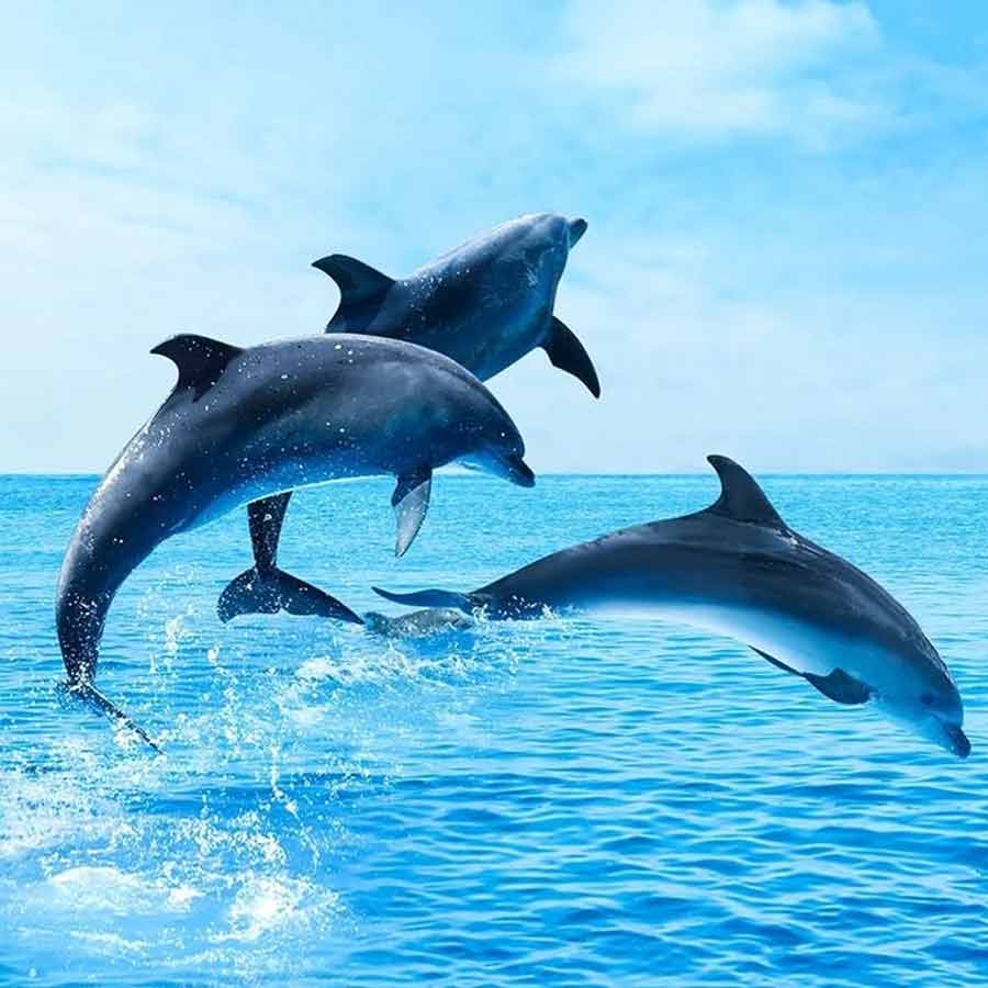 Ukraine tried to blow Crimea bridge with Marichka underwater drone, know the reasons behind Russian failure