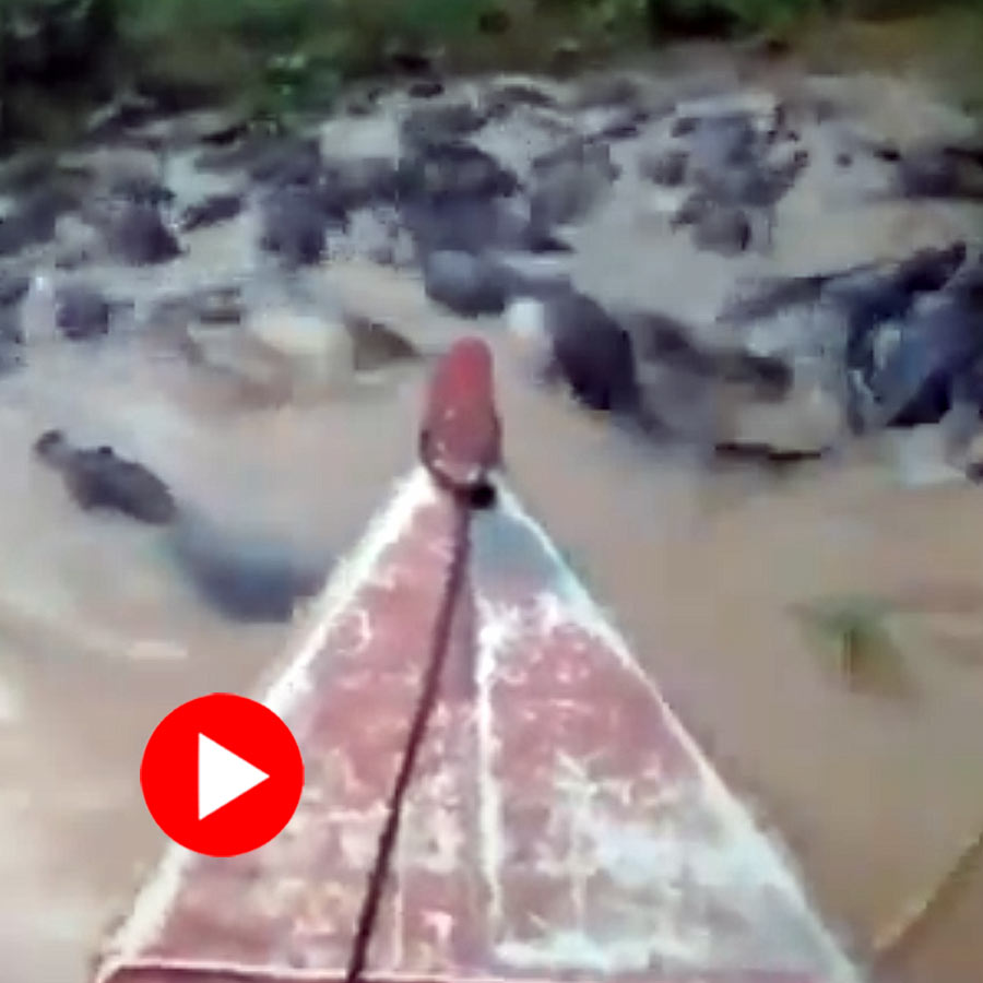 man casually riding his motorboat in a crocodile-infested river