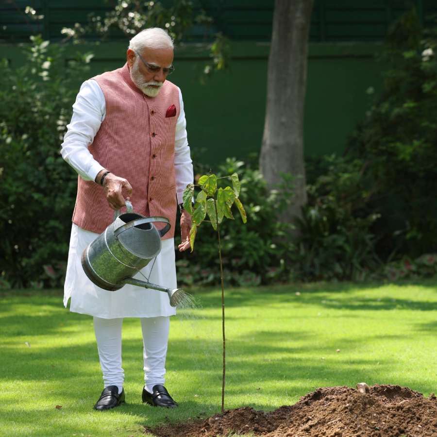 PM Plants Sindoor Tree in His Delhi home, what is it dgtl