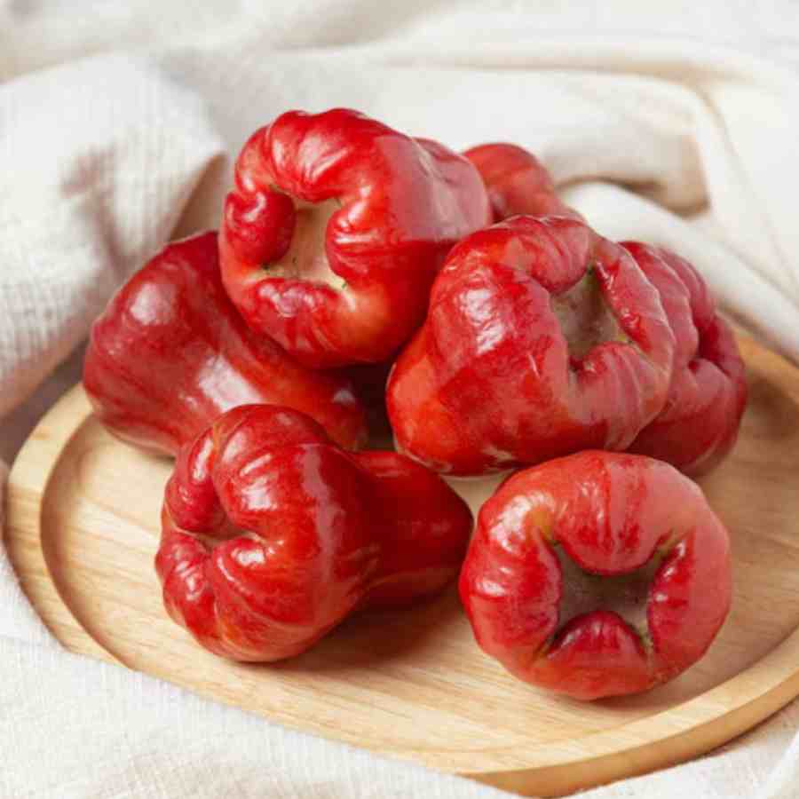What are the health benefits of Rose Apple, who can eat these fruits dgtl