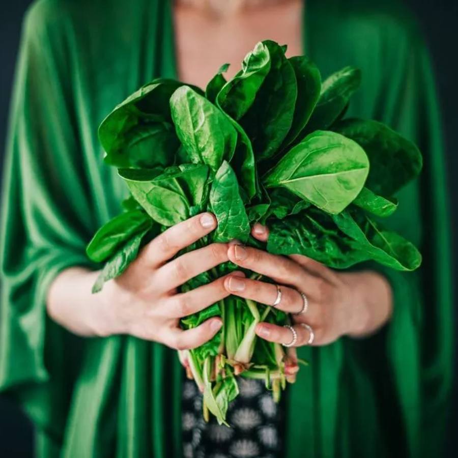 5 vegetables that help you burn your fat faster dgtl